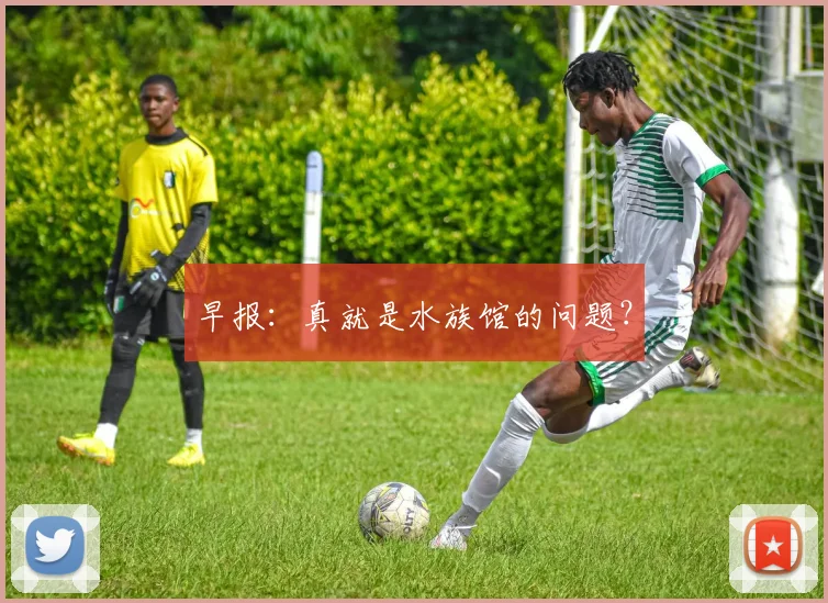 早报：真就是水族馆的问题？