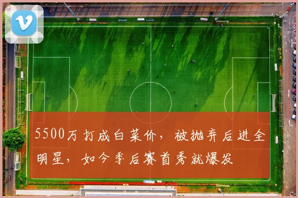 5500万打成白菜价，被抛弃后进全明星，如今季后赛首秀就爆发