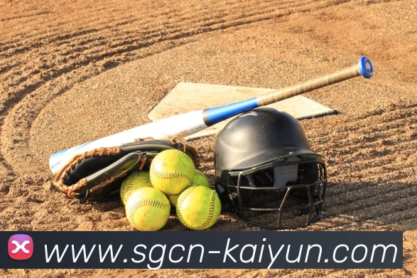 开云平台生态图