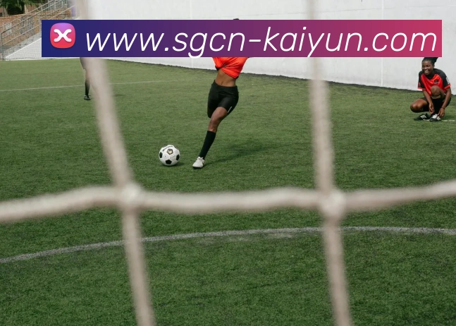 数据防护可视化